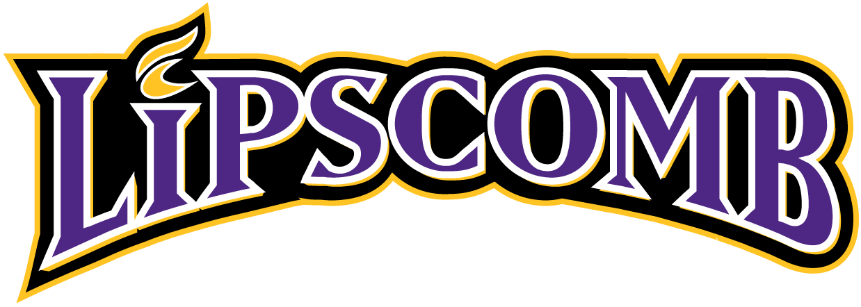 Lipscomb Bisons 2002-2011 Wordmark Logo iron on transfers for T-shirts